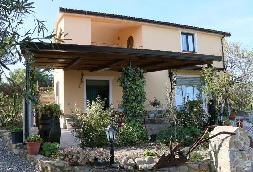 B&b Il Vigneto