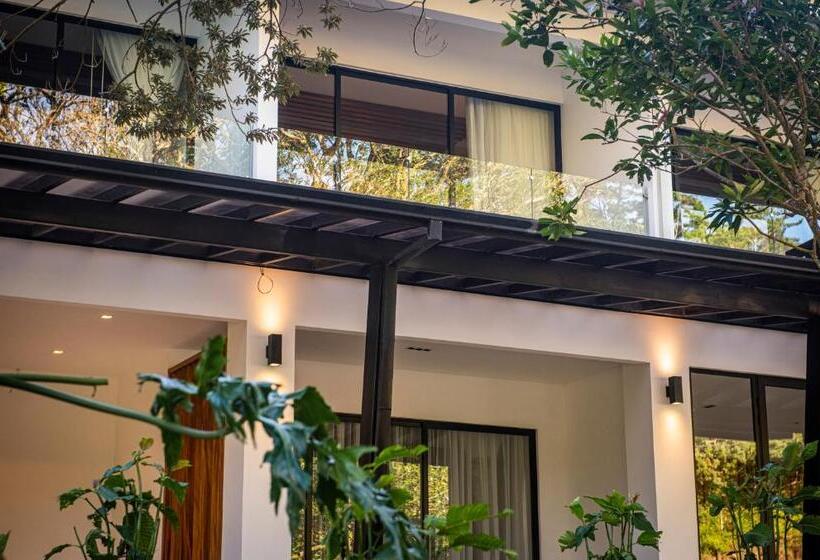 هتل Ocotea Boutique