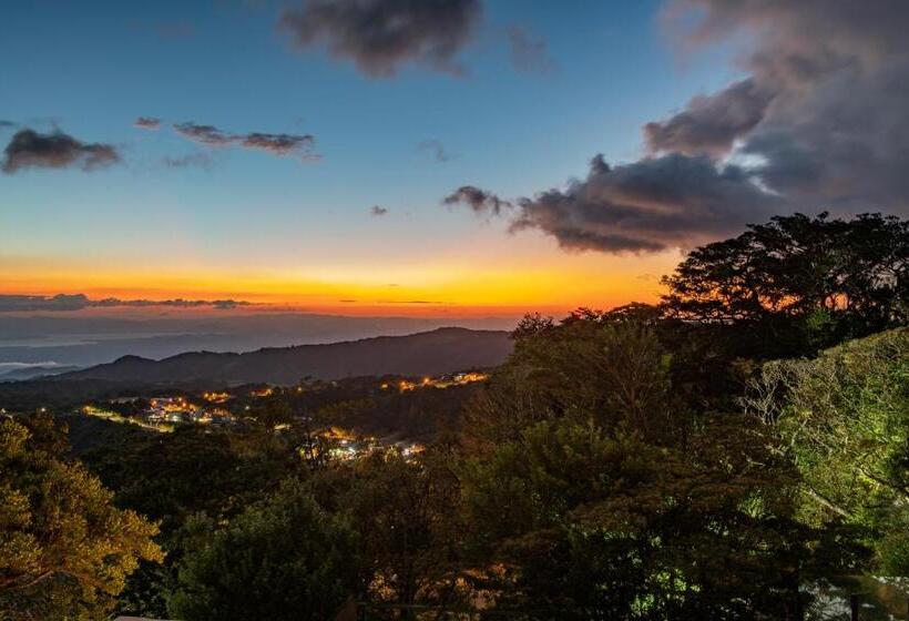 هتل Ocotea Boutique