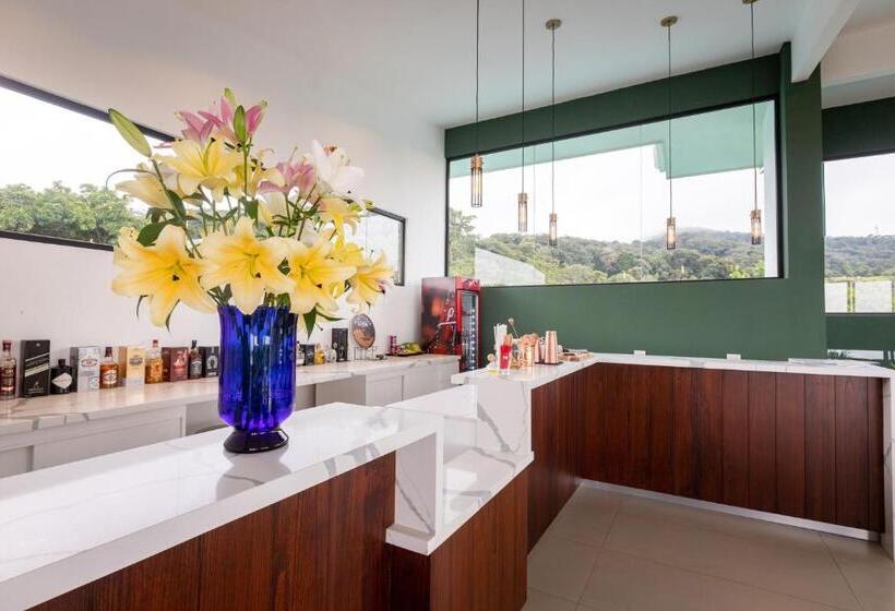 هتل Ocotea Boutique