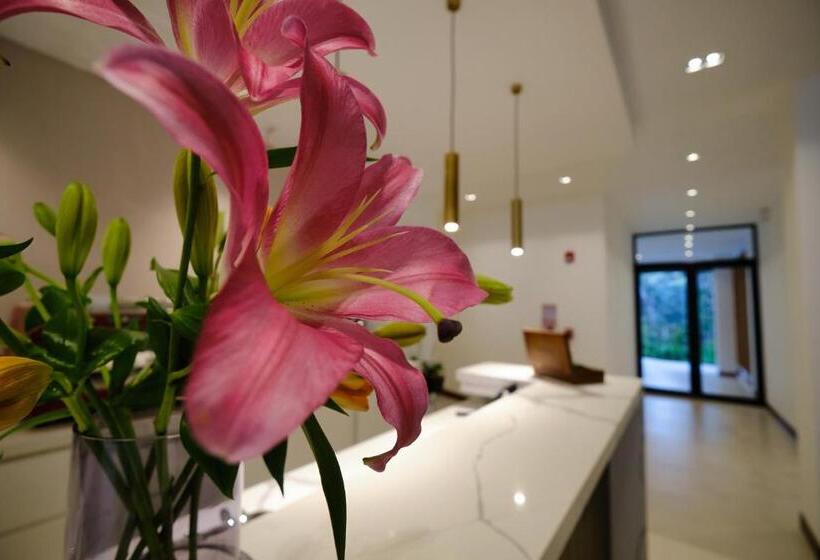 هتل Ocotea Boutique