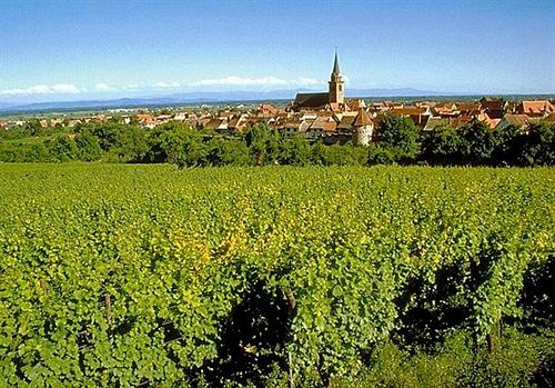 فندق صغير Camping Resort Club Belambra Les Cigognes