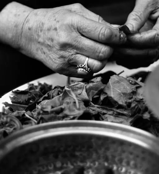 בית מלון כפרי Baglar Saray