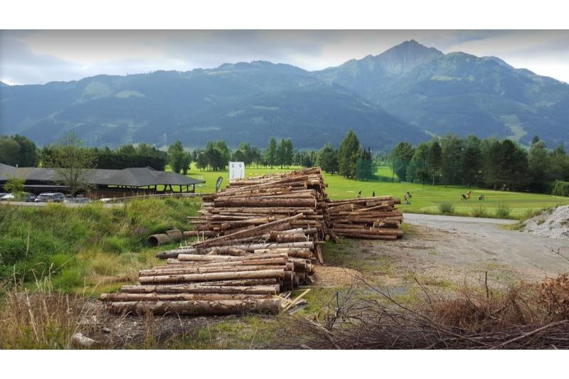 호텔 Gasthof Limberghof