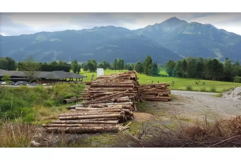 호텔 Gasthof Limberghof