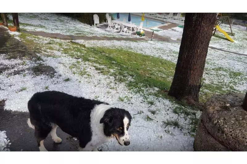 호텔 Gasthof Limberghof