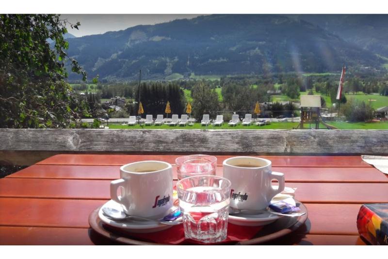 호텔 Gasthof Limberghof