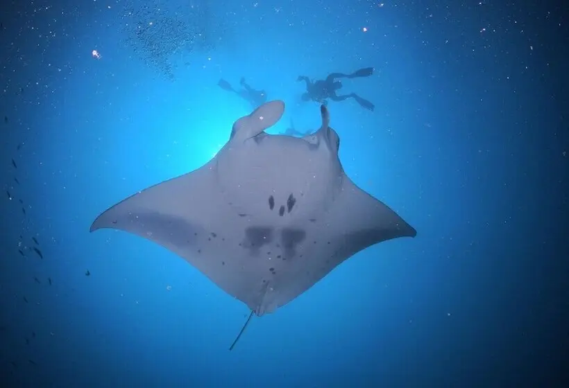 هتل JA Manafaru, Maldives