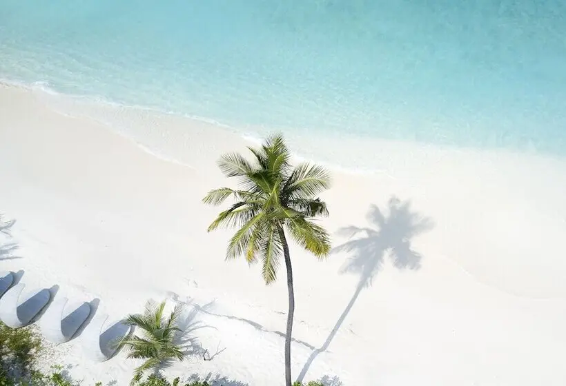 هتل JA Manafaru, Maldives
