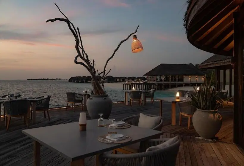 هتل JA Manafaru, Maldives
