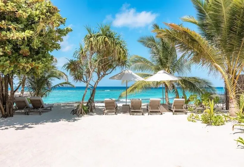 هتل JA Manafaru, Maldives