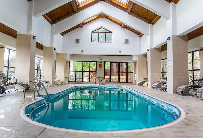 Отель Predeal Comfort Suites