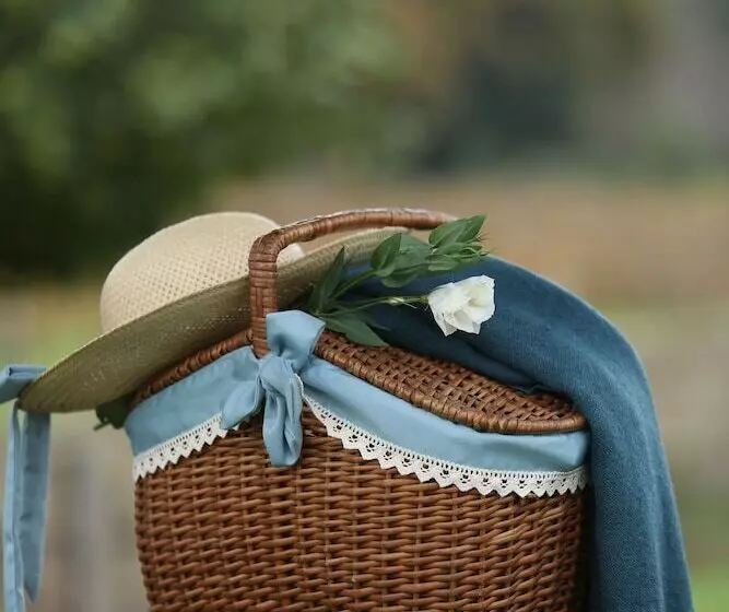 酒店 Solar Egas Moniz Charming House & Local Experiences