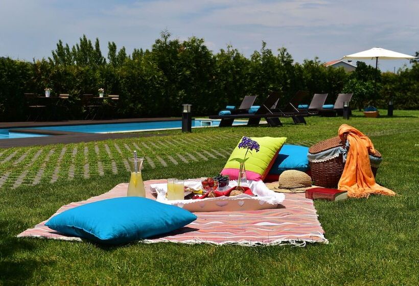 هتل Solar Egas Moniz Charming House & Local Experiences