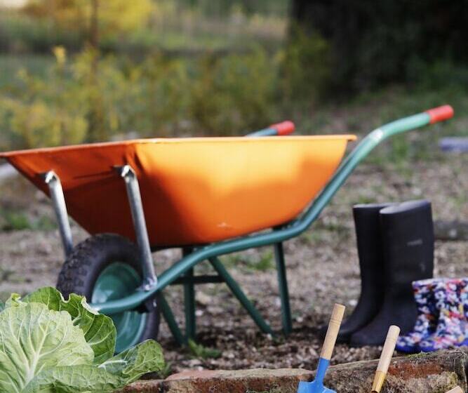 هتل Solar Egas Moniz Charming House & Local Experiences