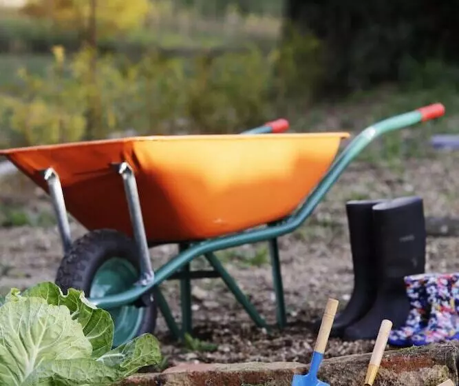 酒店 Solar Egas Moniz Charming House & Local Experiences