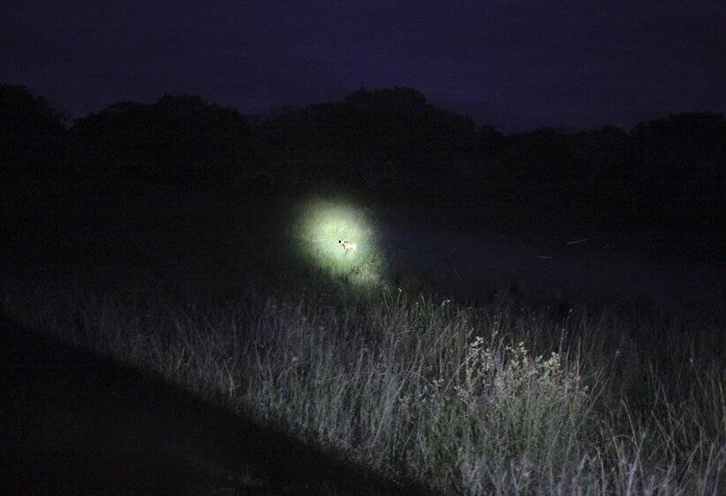 בית מלון כפרי St Lucia Lodge