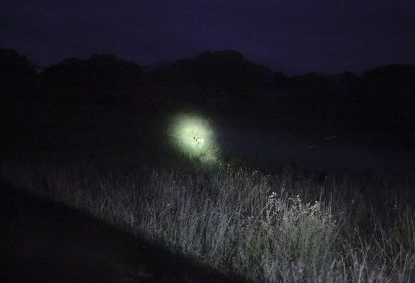 Hotel St Lucia Lodge