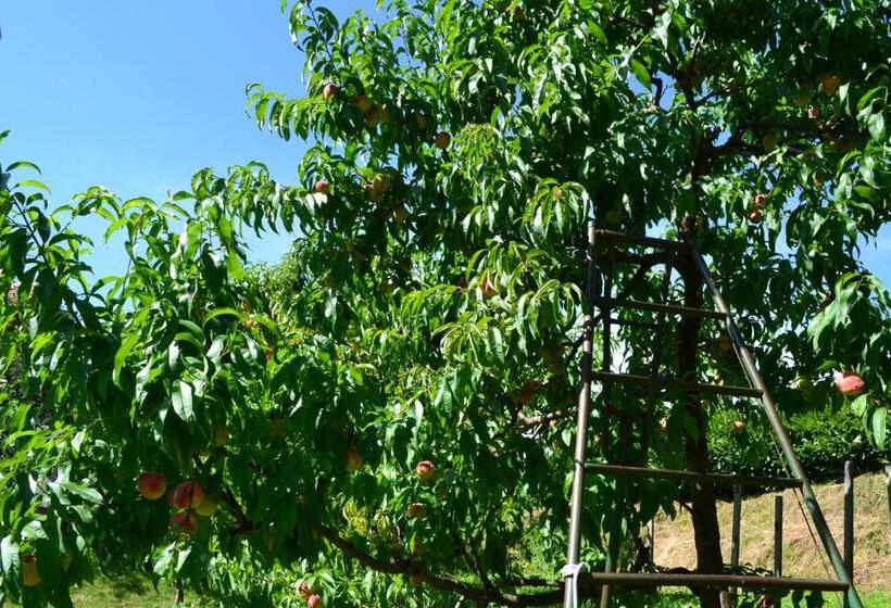 住宿加早餐  Sonnbichl