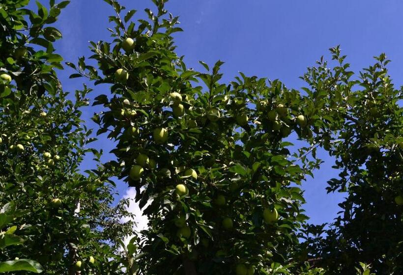 住宿加早餐  Sonnbichl