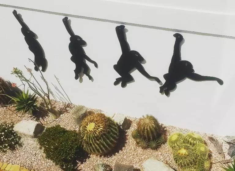 Apartamentos Mayagüez   Adults Only