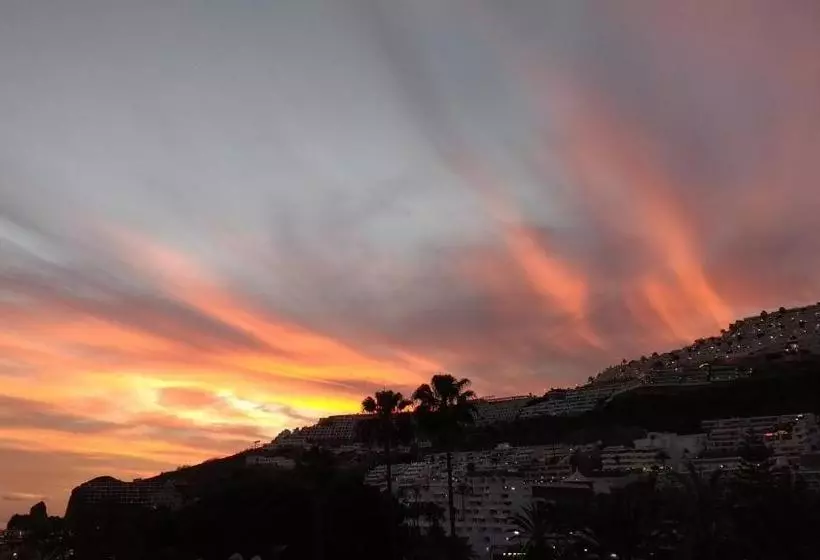 Apartamentos Mayagüez   Adults Only