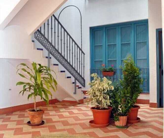 Casas Y Patios De Triana