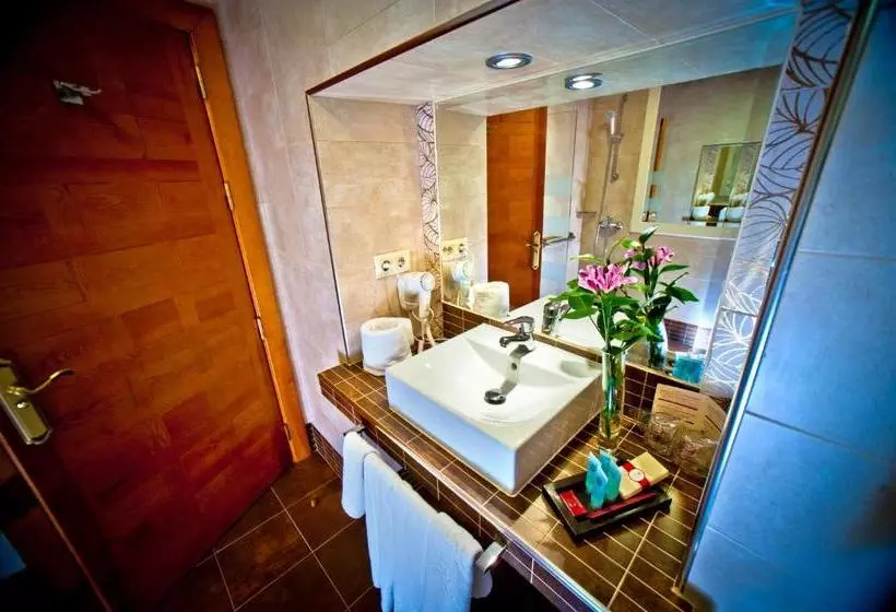 فندق Condes De Castilla