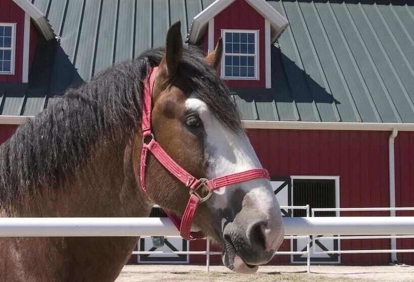 فندق Holiday Inn Express Boonville, An Ihg