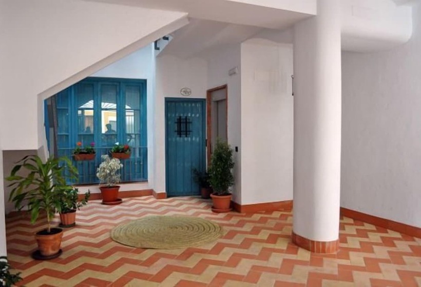 Casas Y Patios De Triana