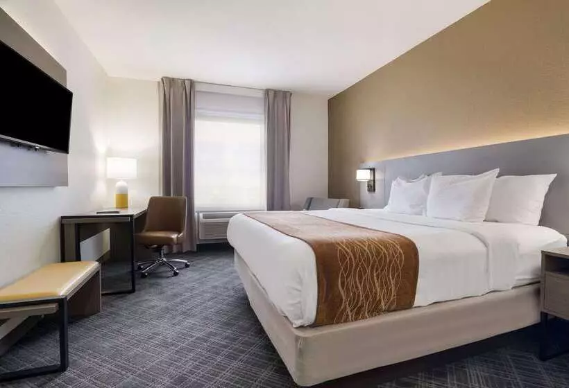 Отель Comfort Inn & Suites Victoria North