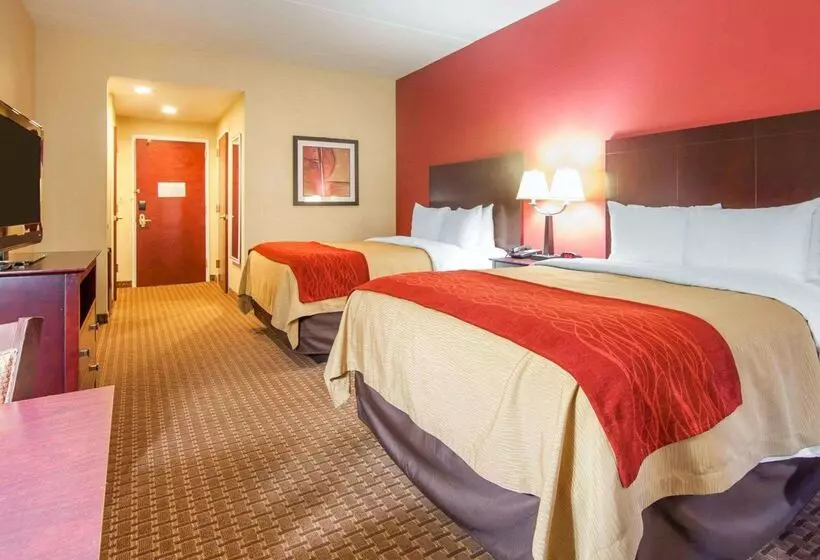 ホテル Comfort Inn