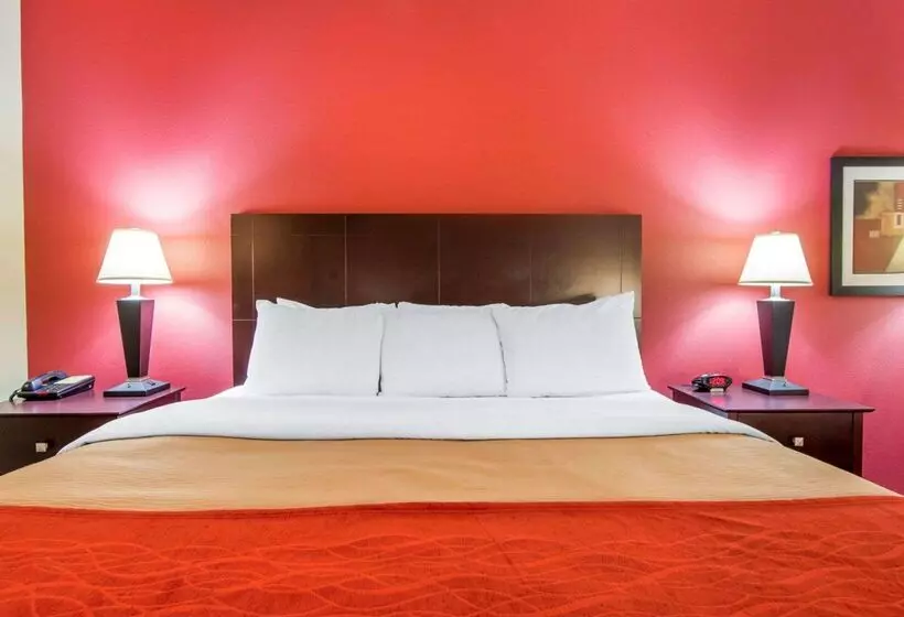 ホテル Comfort Inn