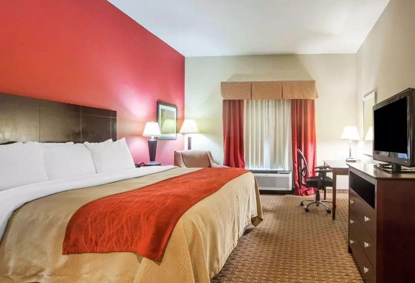 ホテル Comfort Inn