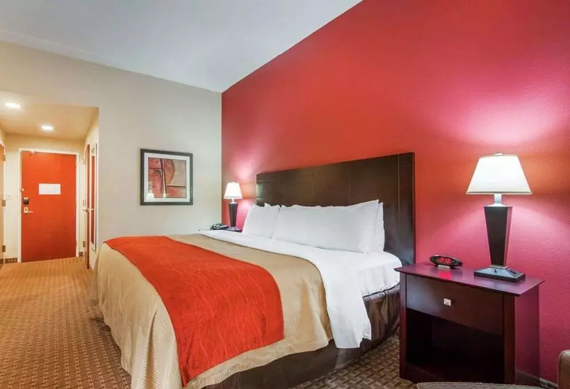 ホテル Comfort Inn