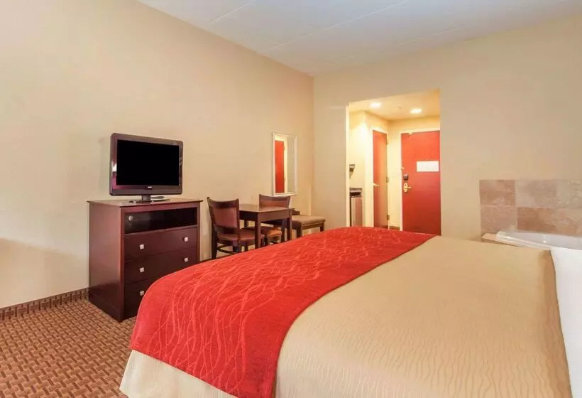 ホテル Comfort Inn