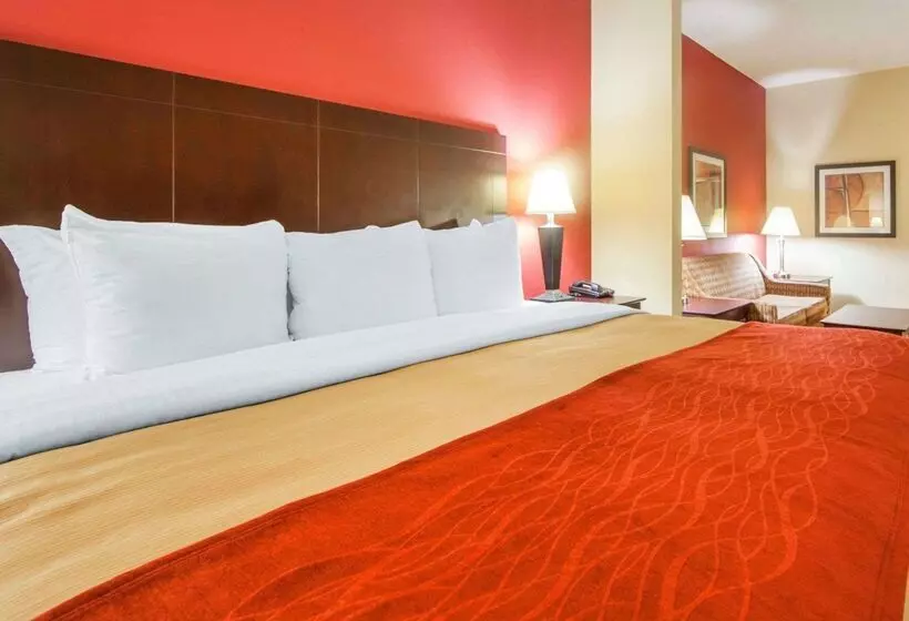 ホテル Comfort Inn