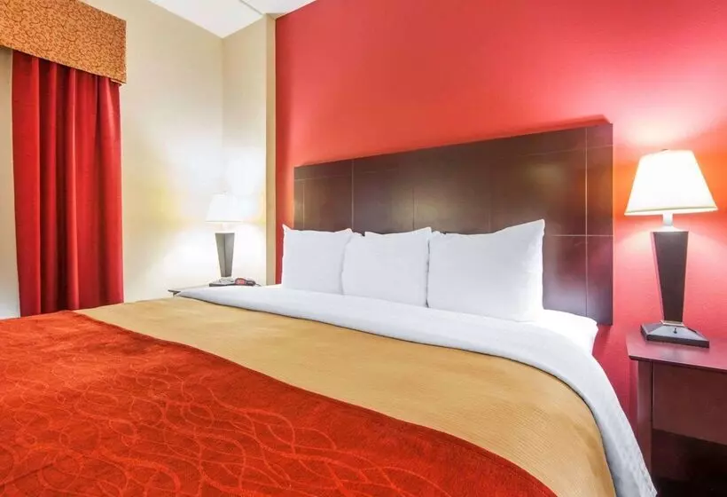 ホテル Comfort Inn