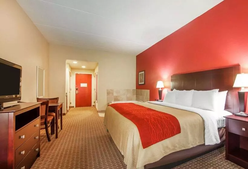 ホテル Comfort Inn