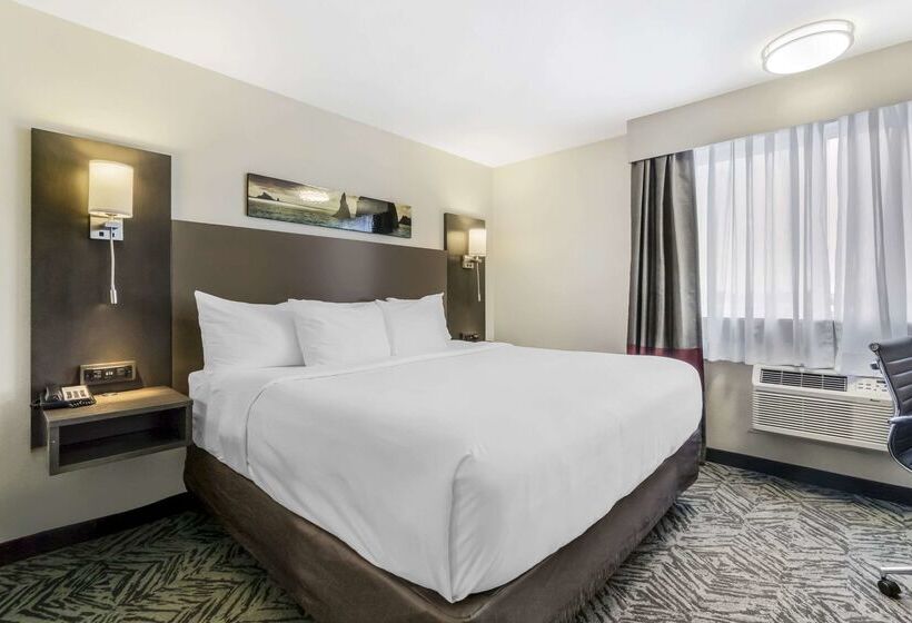 Отель Comfort Inn & Suites Pacific  Auburn