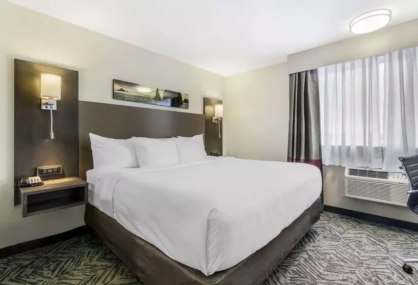 Отель Comfort Inn & Suites Pacific Auburn