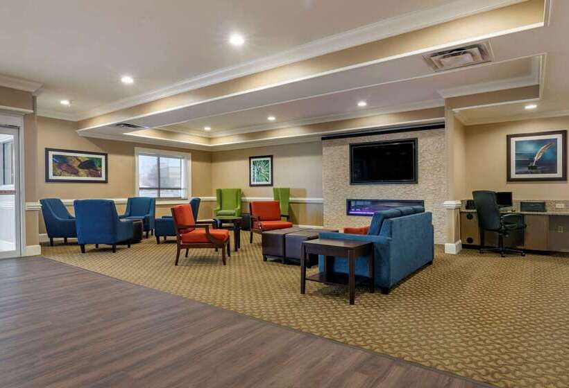 ホテル Comfort Inn & Suites