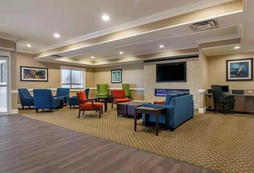 Отель Comfort Inn & Suites