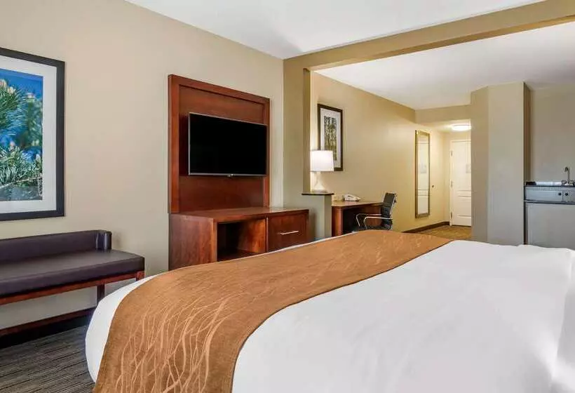Отель Comfort Inn & Suites