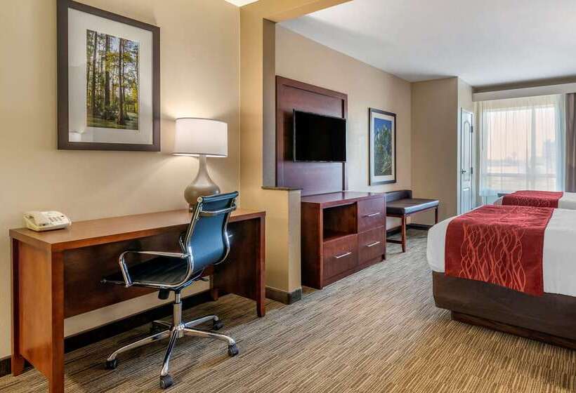 ホテル Comfort Inn & Suites