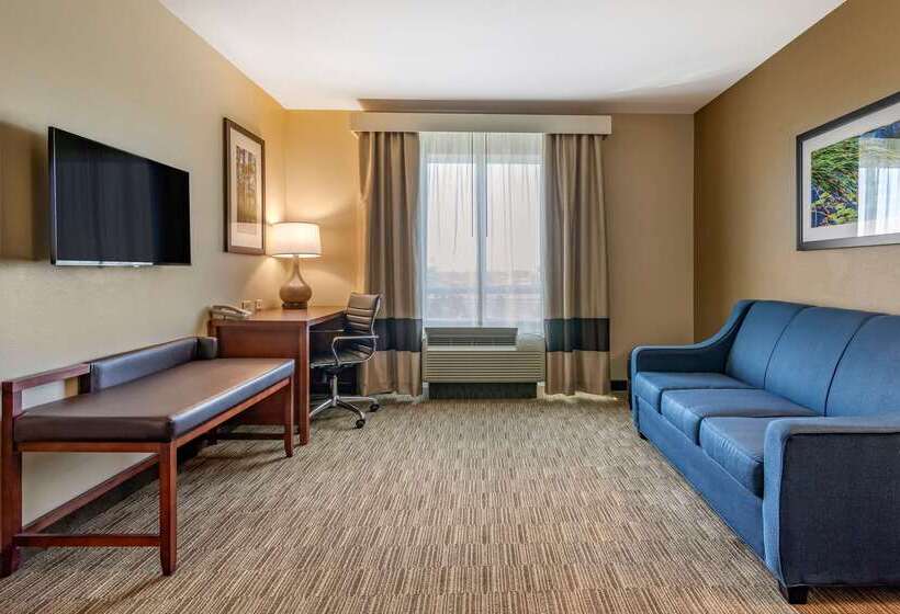 ホテル Comfort Inn & Suites