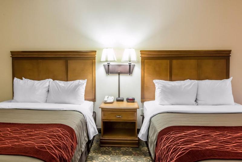 ホテル Comfort Inn & Suites