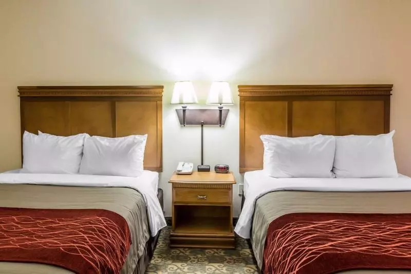 Отель Comfort Inn & Suites