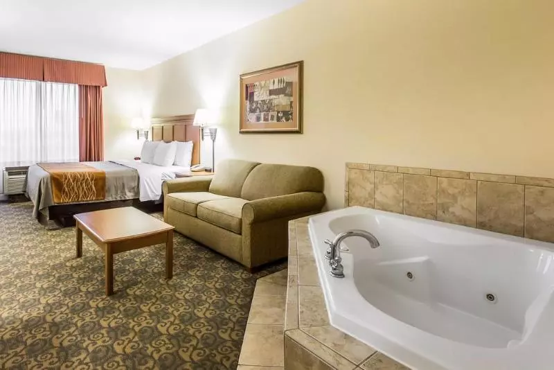 Отель Comfort Inn & Suites