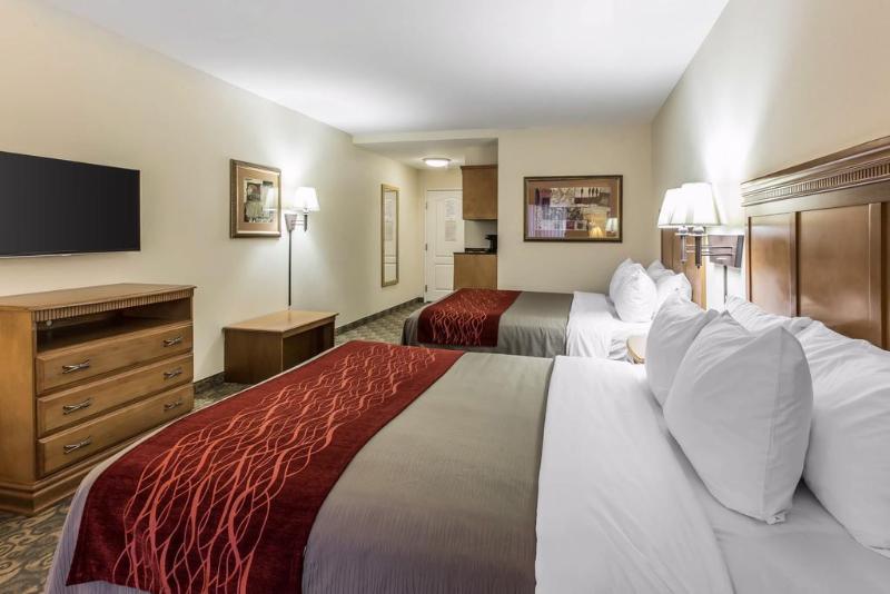 ホテル Comfort Inn & Suites